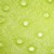 Ostrich Skin Lime